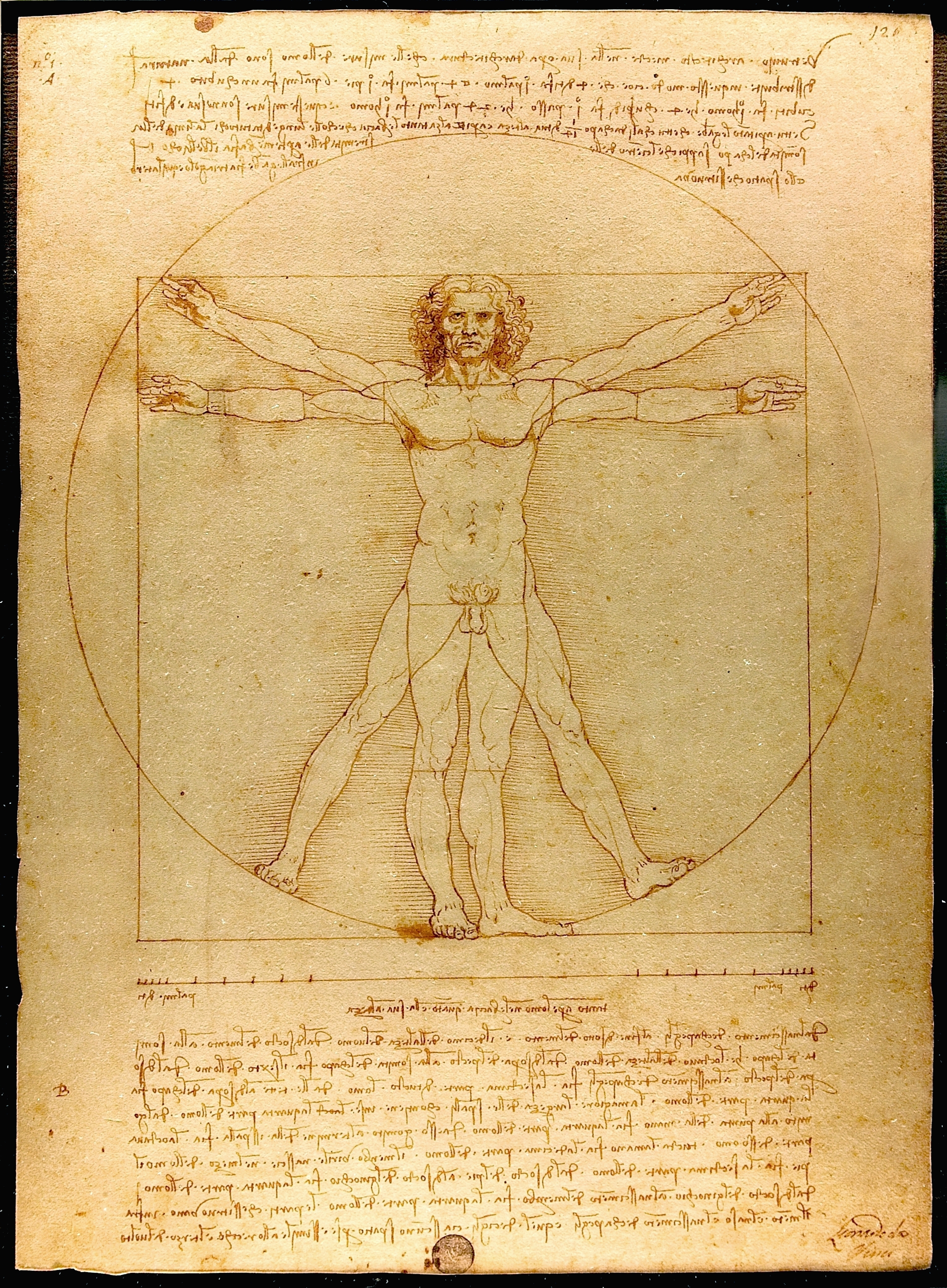 Leonardo da Vinci — Vitruvian Man